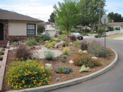 20 Drought Resistant Front Yard