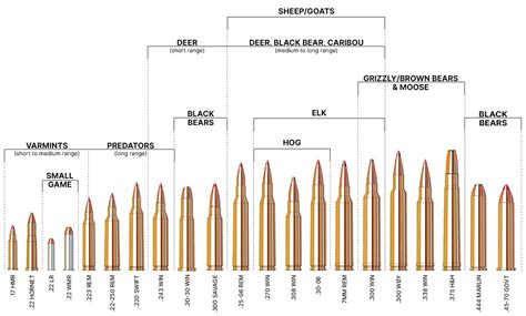 Rifle Caliber Ballistics Performance Chart Sportsmans Warehouse