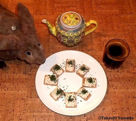 Dining With Seara Sea Rabbit Photograph By Dr Takeshi Flickr