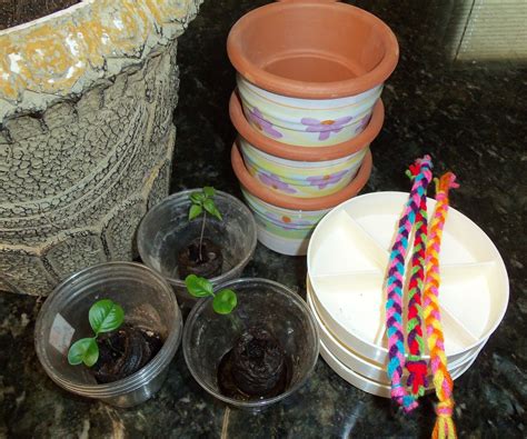 Self-Watering With Yarn | Self watering, Watering, Container gardening