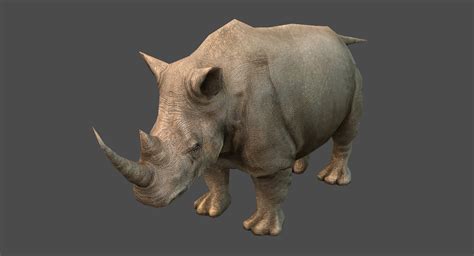 Realistic Rhino 3d Model