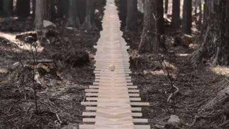 Giant Wooden Xylophone Plays Bach Deep In The Japanese Forest