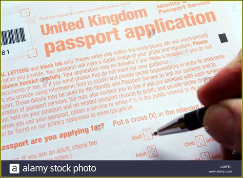 Passport index is the leading global mobility intelligence platform providing guidance on the right of travel. Ethiopian Passport Renewal Application Form In Usa - Form ...