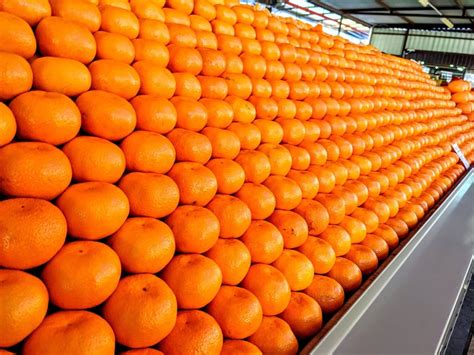 Orange Prices Already Dropping And Trouble Looms For Citrus Market Due