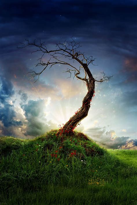 30 Beautiful Tree Photo Manipulations Bashooka