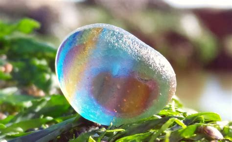 Rainbow Colored Sea Glass Rainbow Colors Sea Glass Glass