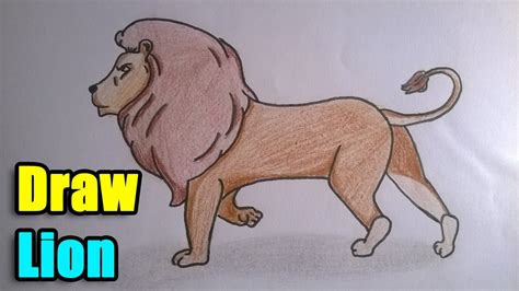 4 Ways To Draw A Lion