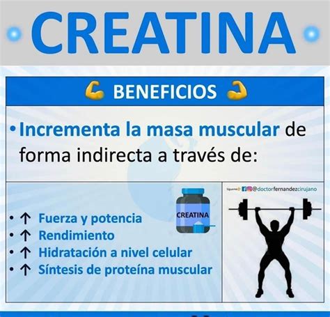 Infografia De La Creatina Creatina Beneficios Nutricion Y Ejercicio