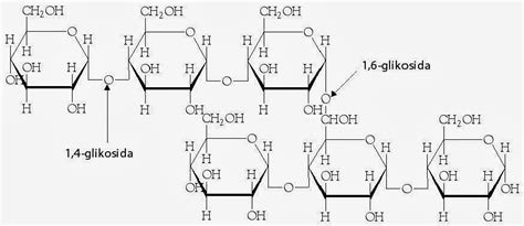 Pengertian Dan Struktur Karbohidrat Contoh Fungsi Penggolongan Kimia