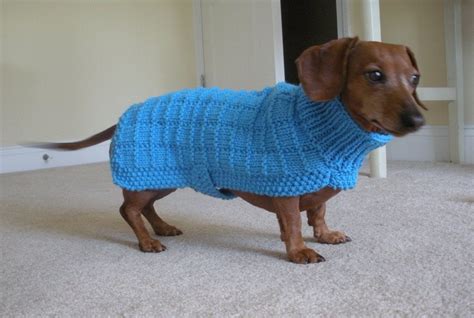 Simple Sweater Pattern For Mini Dachshund Doxie Dachshund Knitted 107