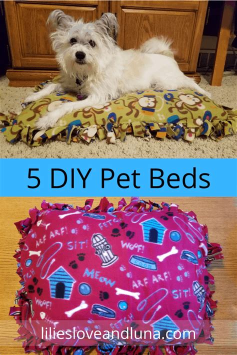 No Sew Pet Beds Easy Diy Ideas For Your Furry Friends Lilies Love