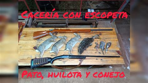 Cacería Con Escopeta Cal20 Y 16 Pato Huilota Y Conejo Youtube