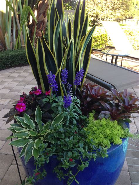 Blue Flowerpot Arrangement Lots Of Color Plants Garden Containers