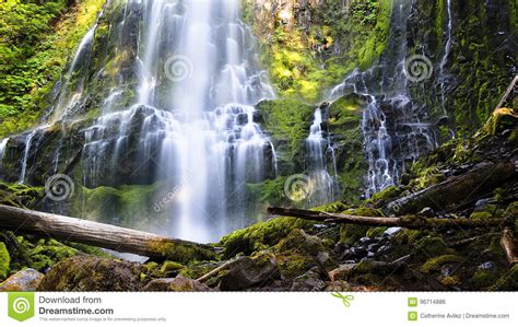 Proxy Falls In Afternoon Light Stock Photo Image Of Falls Lush 96714886