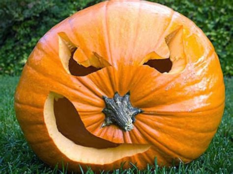 Whether you're going for a spooky, fabulous, or whimsical vibe this halloween, we have the perfect pumpkin for you. Easy Pumpkin Carving Ideas: 12 Easy Pumpkin Carving Ideas ...