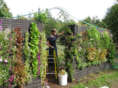 The Vertical Garden Frequently Asked Questions Vertical Garden