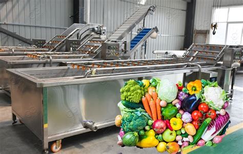 How To Clean Vegetables And Fruits What Is Fruit Washer