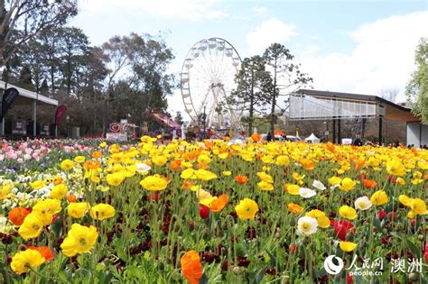 Canberra Blooms Australias Biggest Celebration Of Spring Peoples