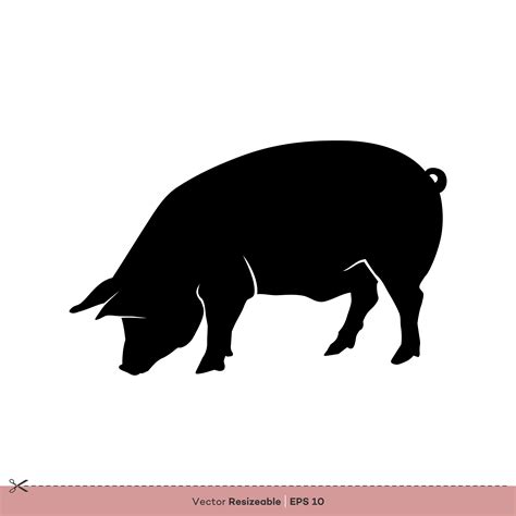 Farm Animal Pig Silhouette Vector Logo Template Illustration Design