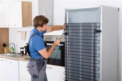 Five Signs Your Refrigerator Is Leaking Freon Lea Appliance Repair