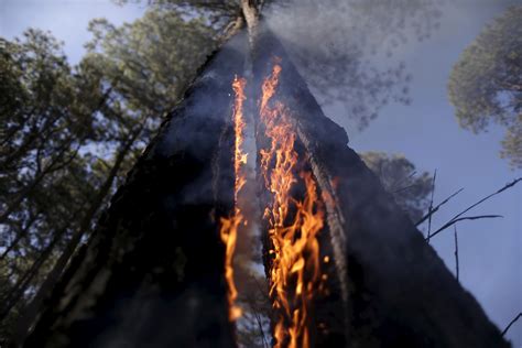 Перевод слова fire, американское и британское произношение, транскрипция, словосочетания, однокоренные слова, примеры использования. Northern California Wildfire Grows, Closes Two Highways