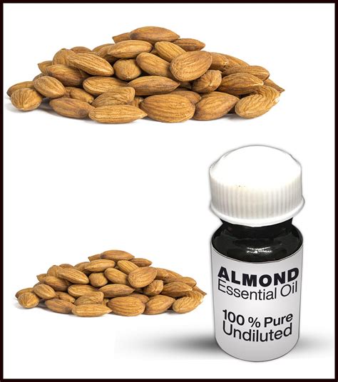 Almond Essential Oil 100 Pure Almond Essential Oil Premium Etsy Uk