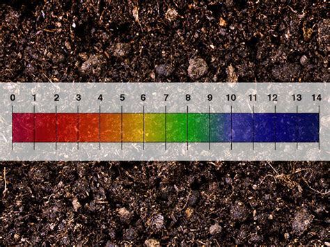 Soil Chemistry Fundamentals Part 1 Understanding Soil Ph And How It