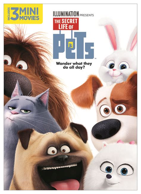 The Secret Life Of Pets - DVD - Illumination w/ 3 Mini Movies Widescreen - NEW 25192317170 | eBay