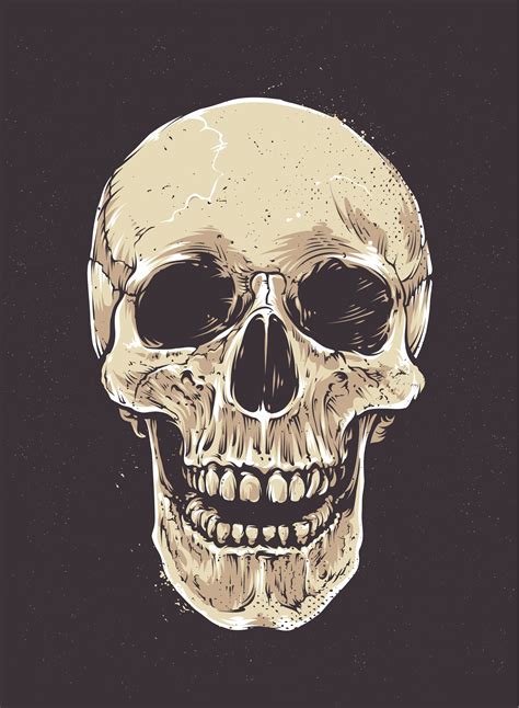 Anatomic Grunge Skull 335057 Vector Art At Vecteezy