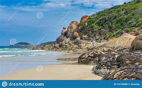 Whisky Bay In The Bass Strait Wilsons Promontory National Park Stock