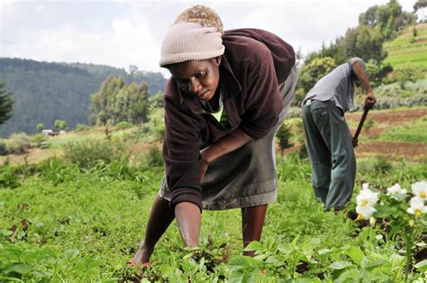 File Woman Farmer In Kenya Wikimedia Commons