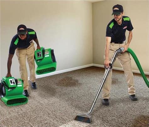 If you need to move furniture, do so on a dolly to prevent tears in the. Is Professional Carpet Cleaning Worth It? | SERVPRO of Mercer County