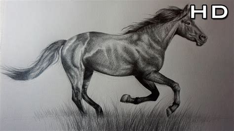 Dibujo De Un Caballo Realista A Lápiz Youtube