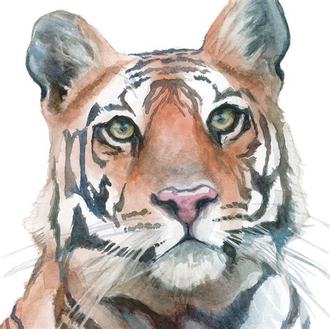 Bengal Tiger Watercolor Portrait Print Etsy