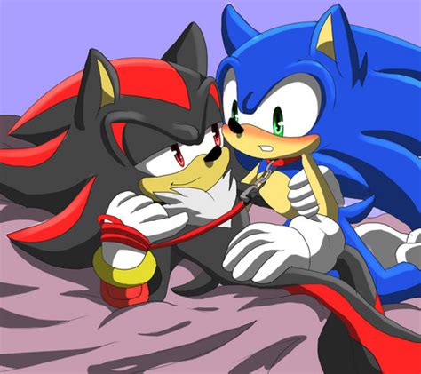 Sonadow Images Leash Hd Wallpaper And Background