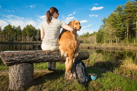 Location at the mall, other nearby locations by states, opening hours, map and gps. 12 Best Dog Friendly Hikes in Massachusetts - Kurgo Dog ...