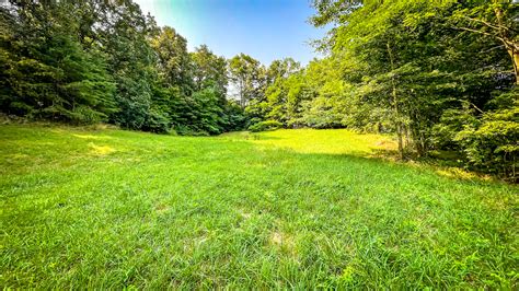 Land For Sale Real Estate 156 Bluegrassteam