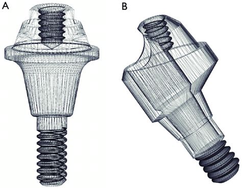 Schematic Image Of The Different Morphology Between The Axial And