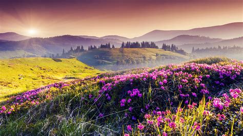 11 Hintergrundbilder Natur Frühling Kostenloser Demyanova