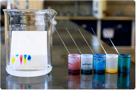 Chromatography The Principle Types Application And Advantages
