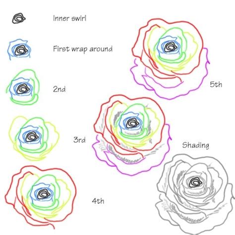 The outer shape sketch does not need to be the exact outline trace of the rose (that. 50 Easy Ways to Draw a Rose - Learn How to Draw a Rose
