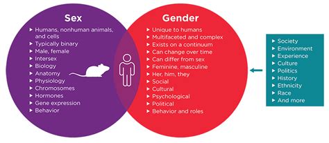 The Issue Of Sex Vs Gender In Preclinical Animal Model Studies