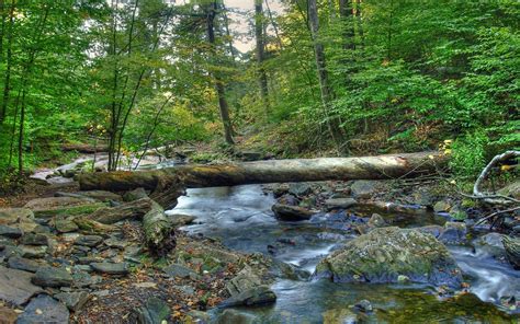 Nature Mountain Forest Landscape Fog Lake Ultrahd 4k Wallpaper