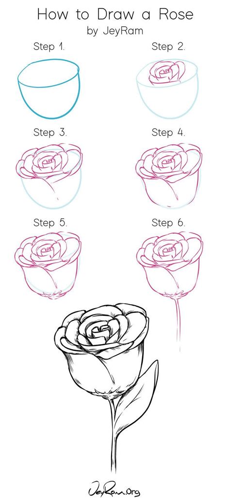 Realistic Rose Outline Drawing Master The Art With Our Foolproof Guide