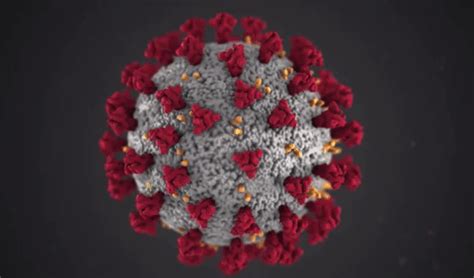 Choose from 16000+ virus gif graphic resources and download in the form of png, eps, ai or psd. Study on new coronavirus says warmer weather may slow ...