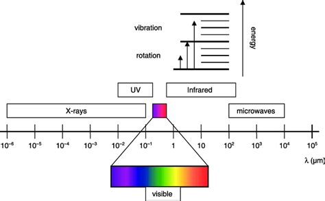 Wavelengths of radiation and region of light causing ...