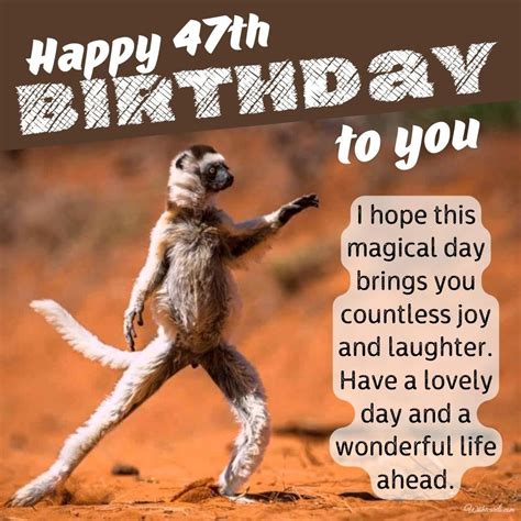Happy 47th Birthday Cards And Images