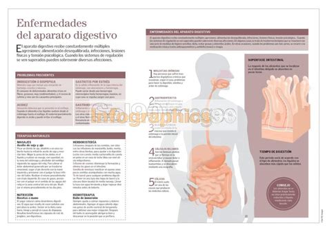 Infografía Enfermedades Del Aparato Digestivo Infographics90