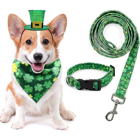 12 St Patricks Day Pet Products Were Obsessed With Daily Paws