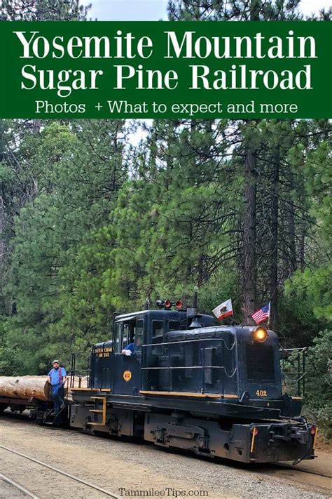 Yosemite Mountain Sugar Pine Railroad Tammilee Tips